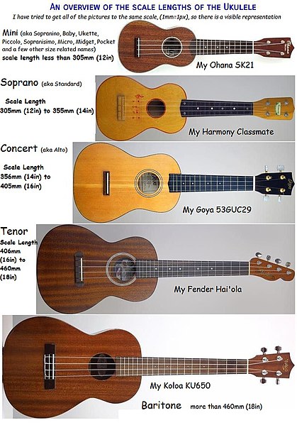 different sizes of ukuleles