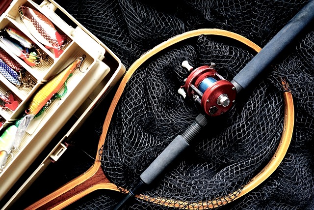 fishing pole in net