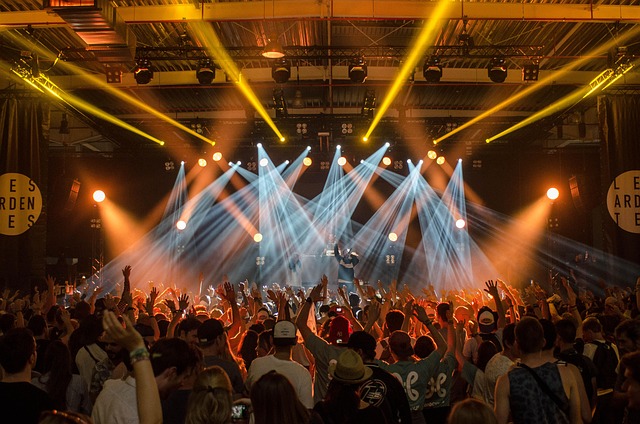  A picture of where people come to see a singer or dance club