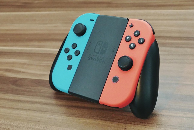 Nintendo switch controler