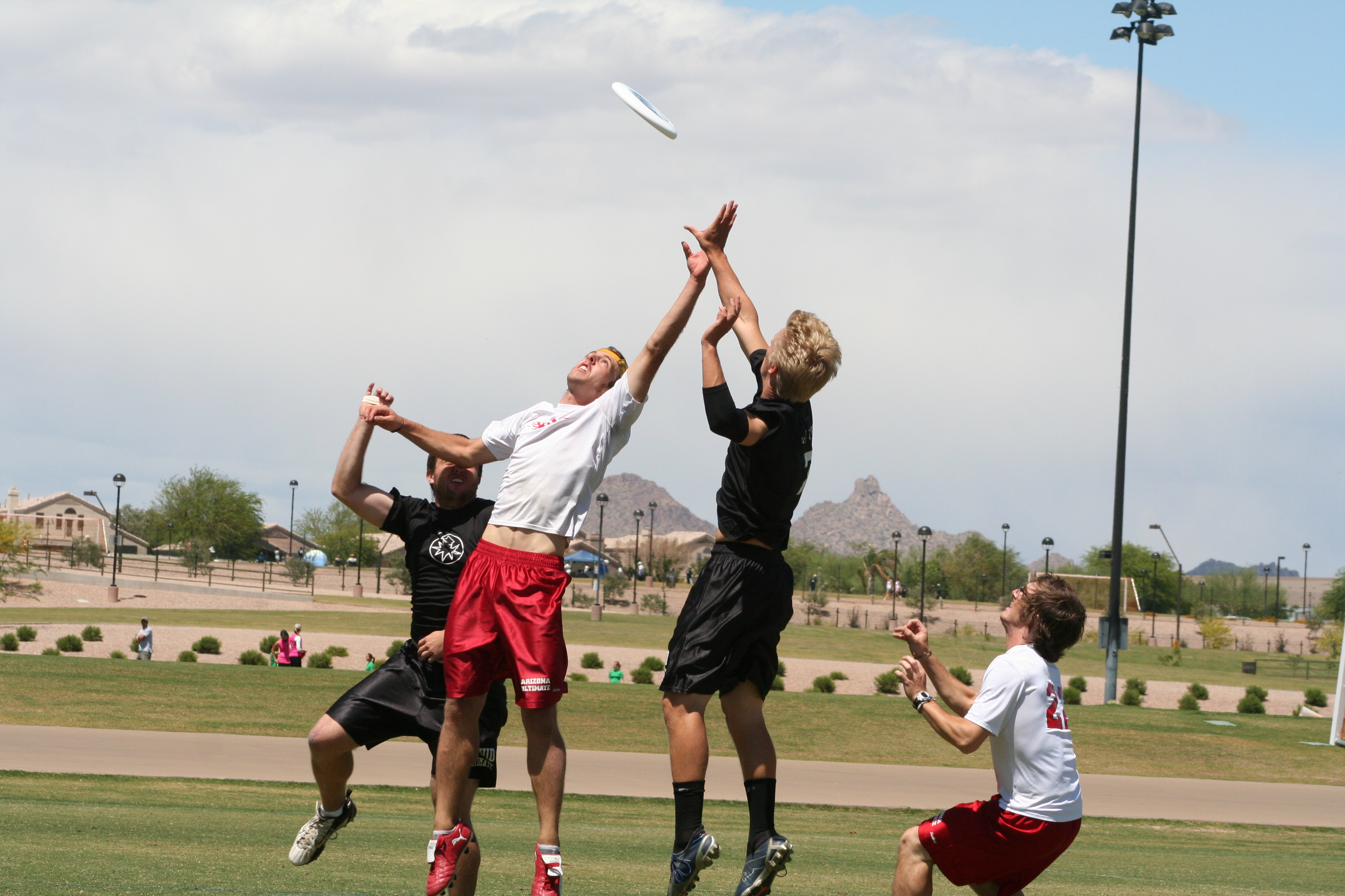 frisbee game