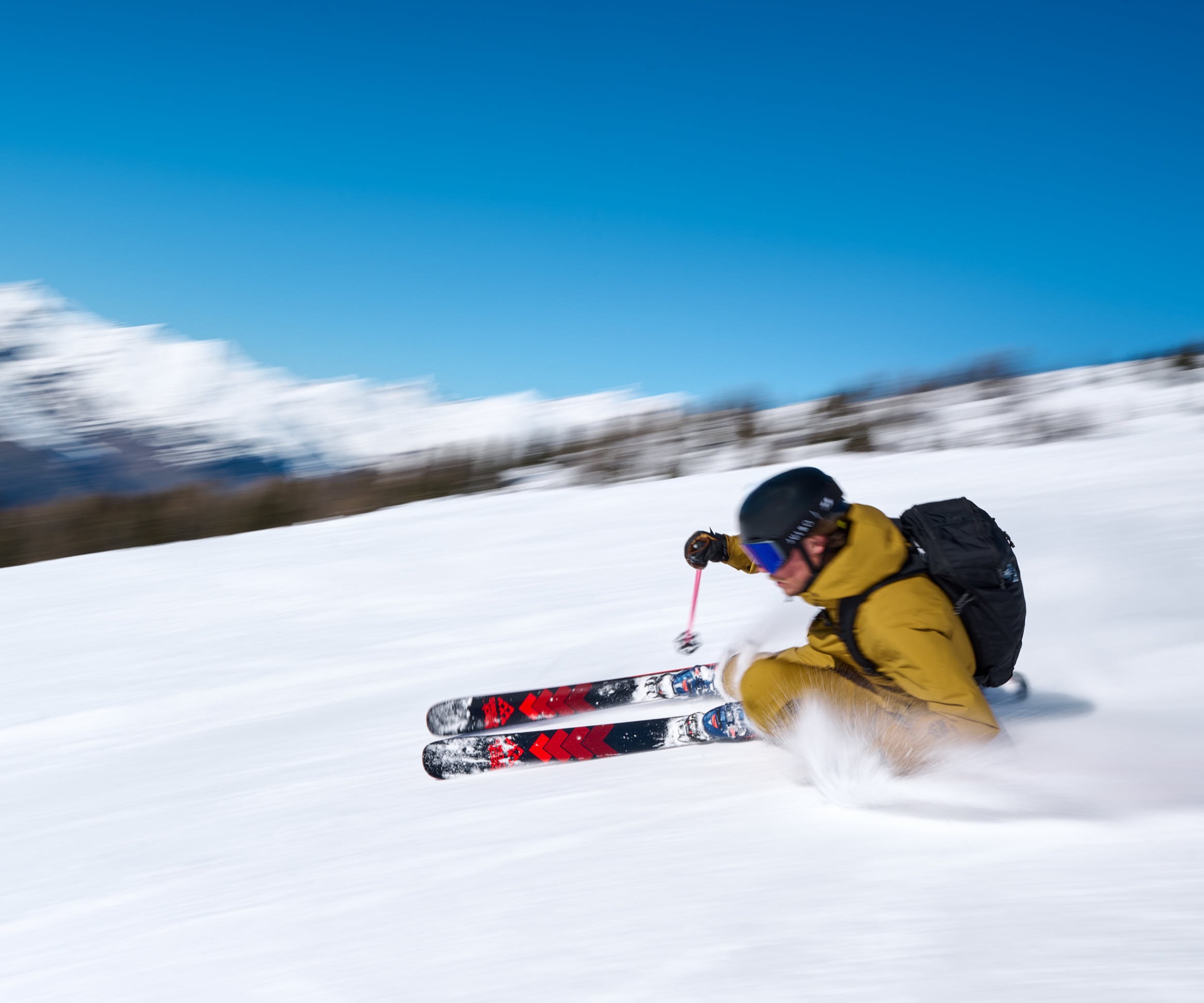 skier