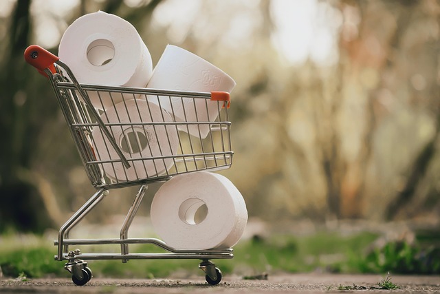 Toilet Paper in Shopping Cart