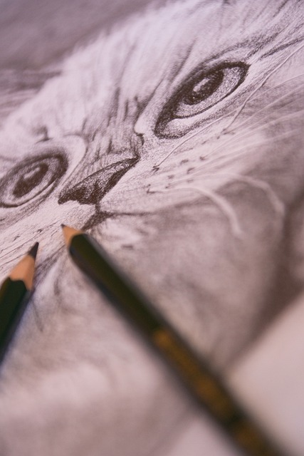 A realistic cat drawing with pencils.