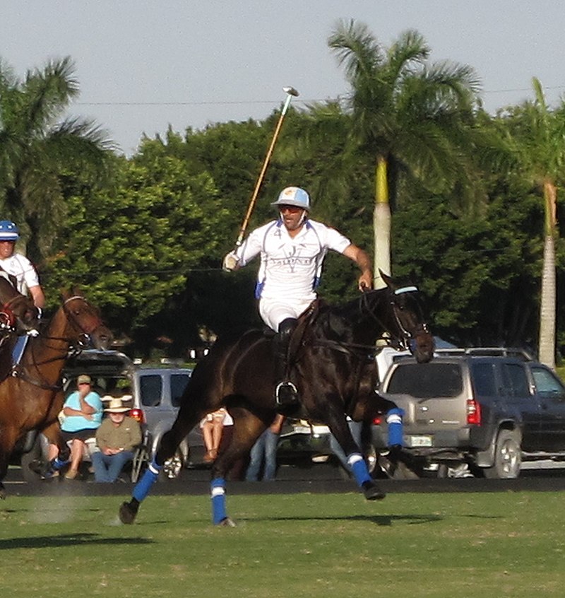 polo