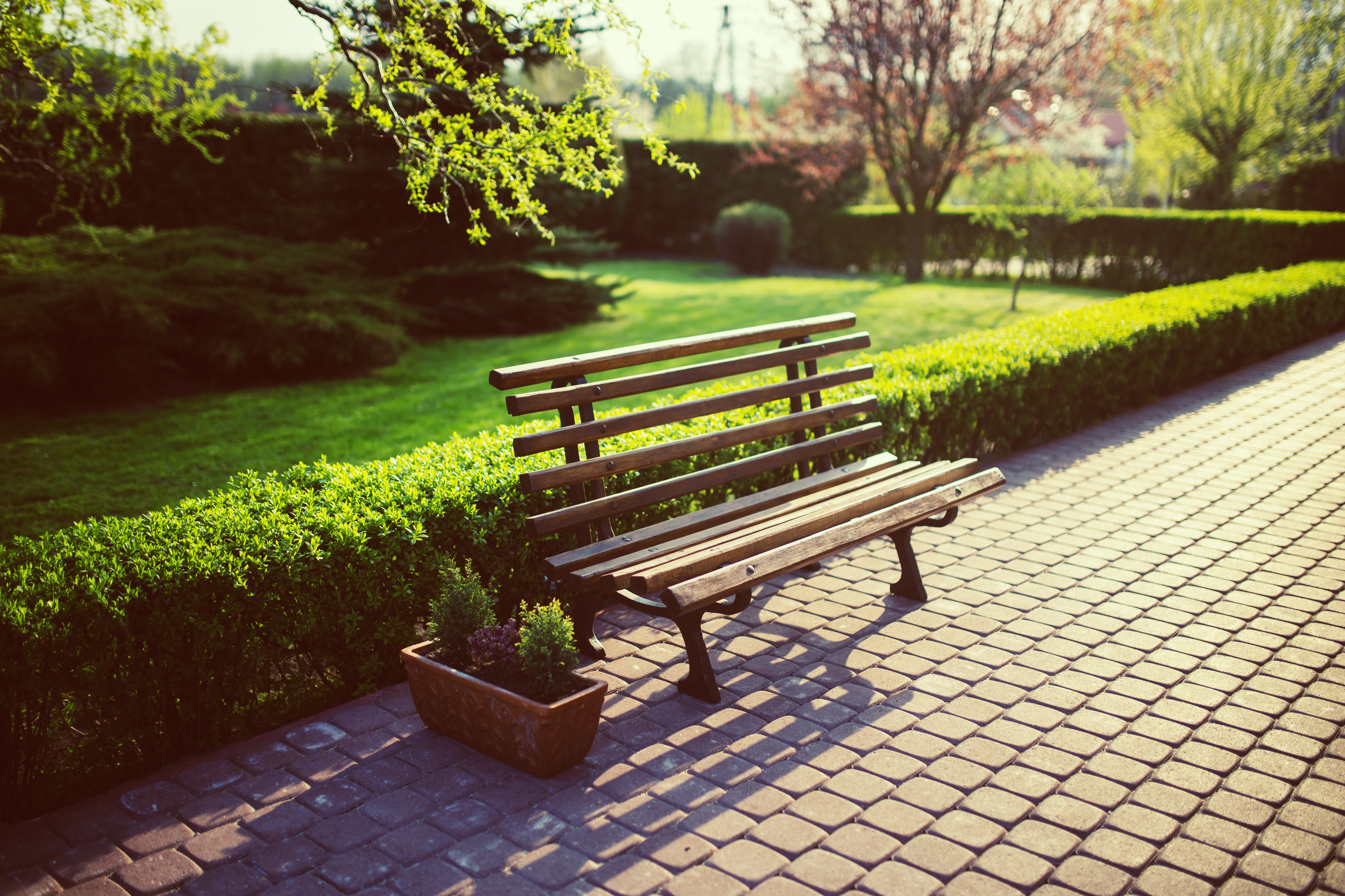 A Park Bench