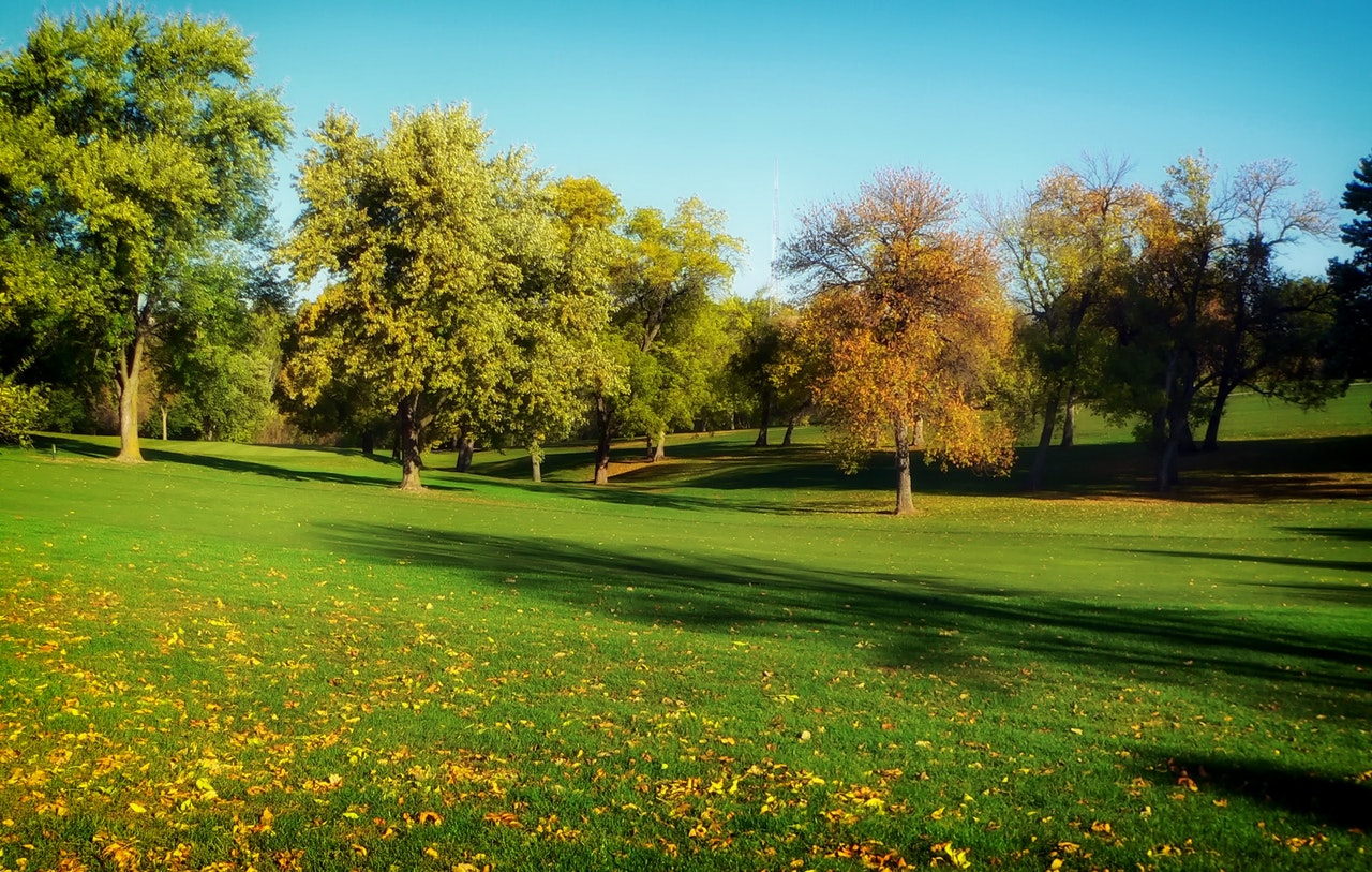 Part of the Park