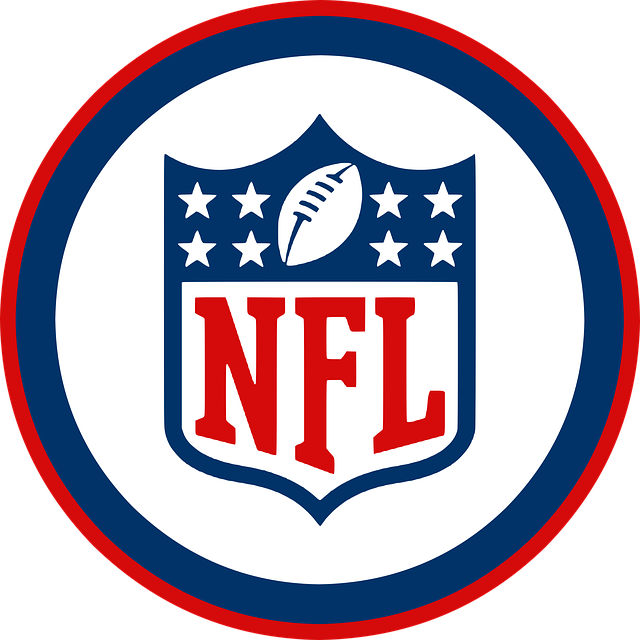 A picture of the N.F.L Logo