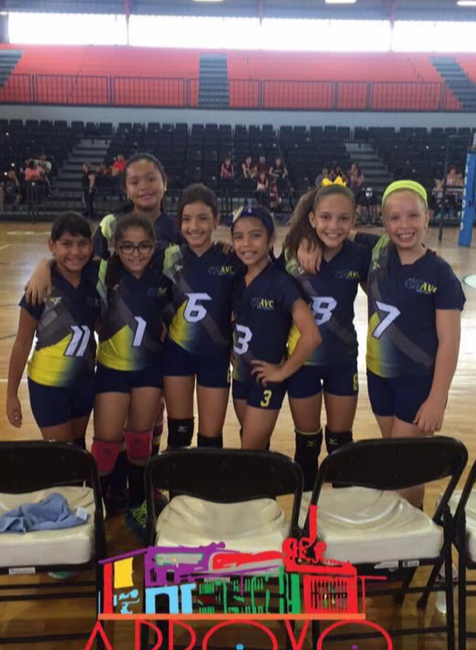 volleyball3