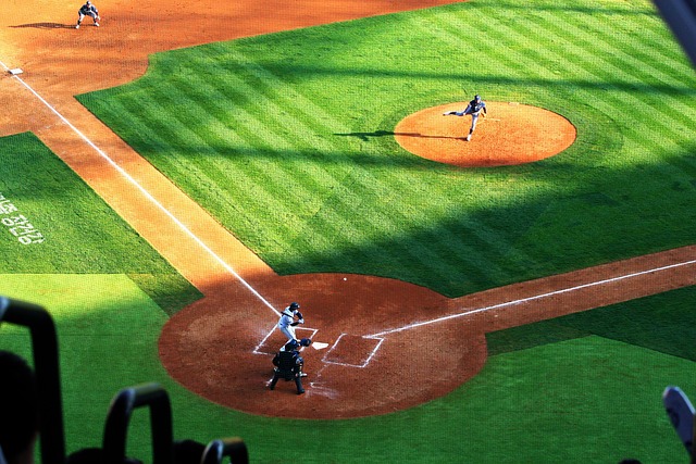 people at baseball game