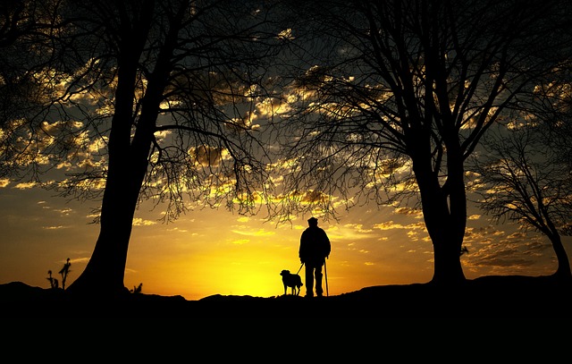 Walking Dog