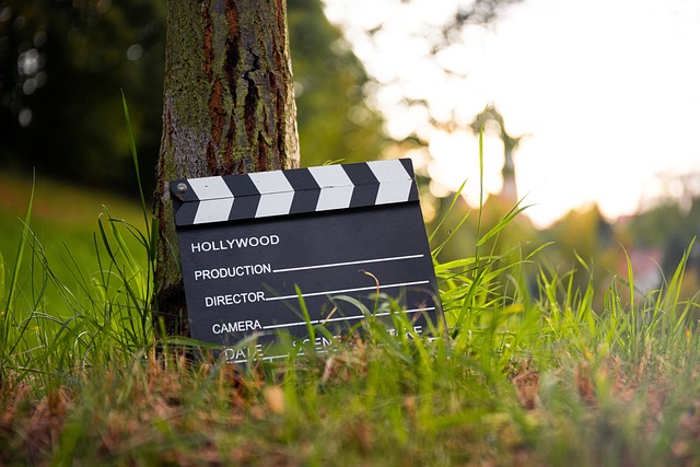 movie clapper set against a tree in a grassy field.