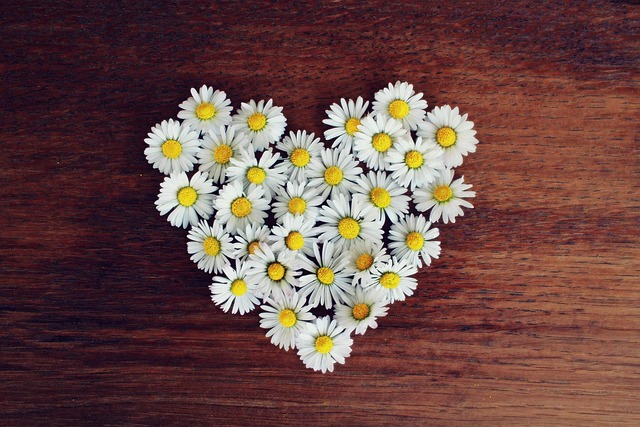 little white flowers with yellow middles in the shape of a heart on a wooden table. 