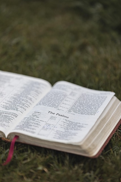 bible