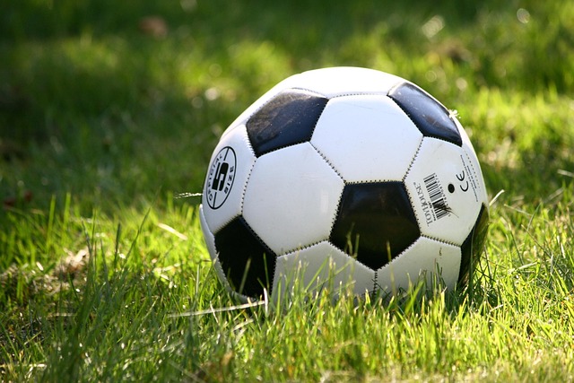 Soccer ball in grass