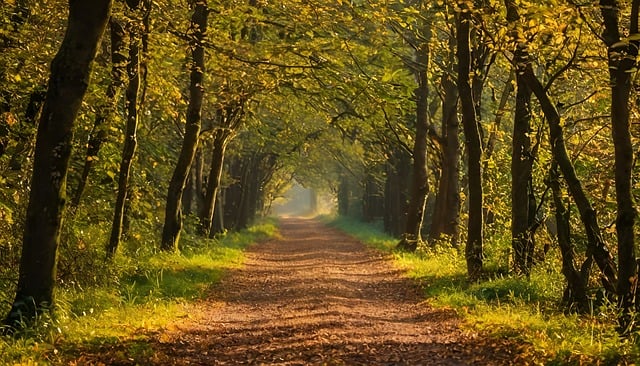 path