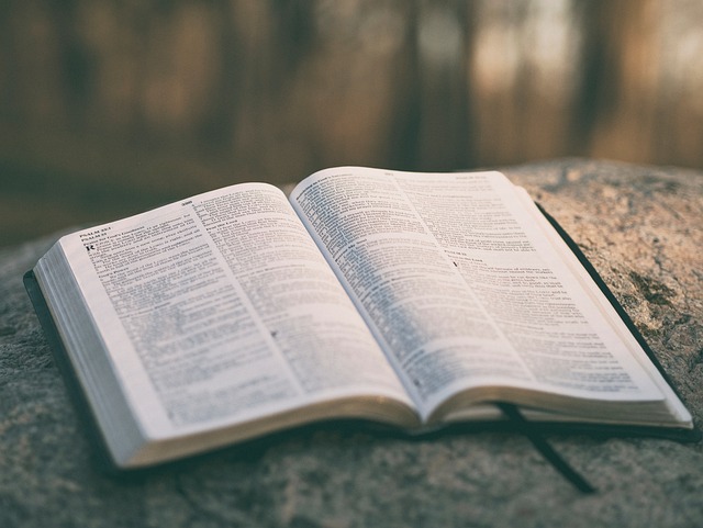 bible on a stone