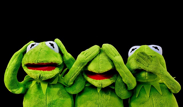 kermit covering face