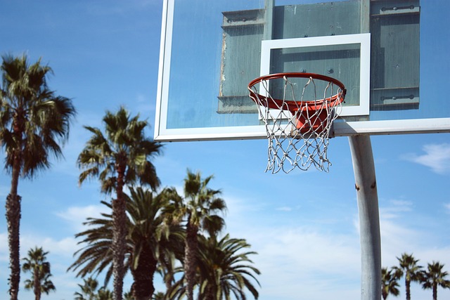 Baketball Hoop With Palm Trees In The Background