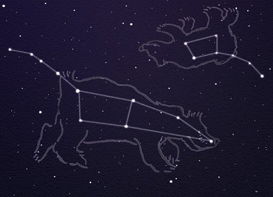 A picture of the two costellations Ursa Major and Ursa Minor 