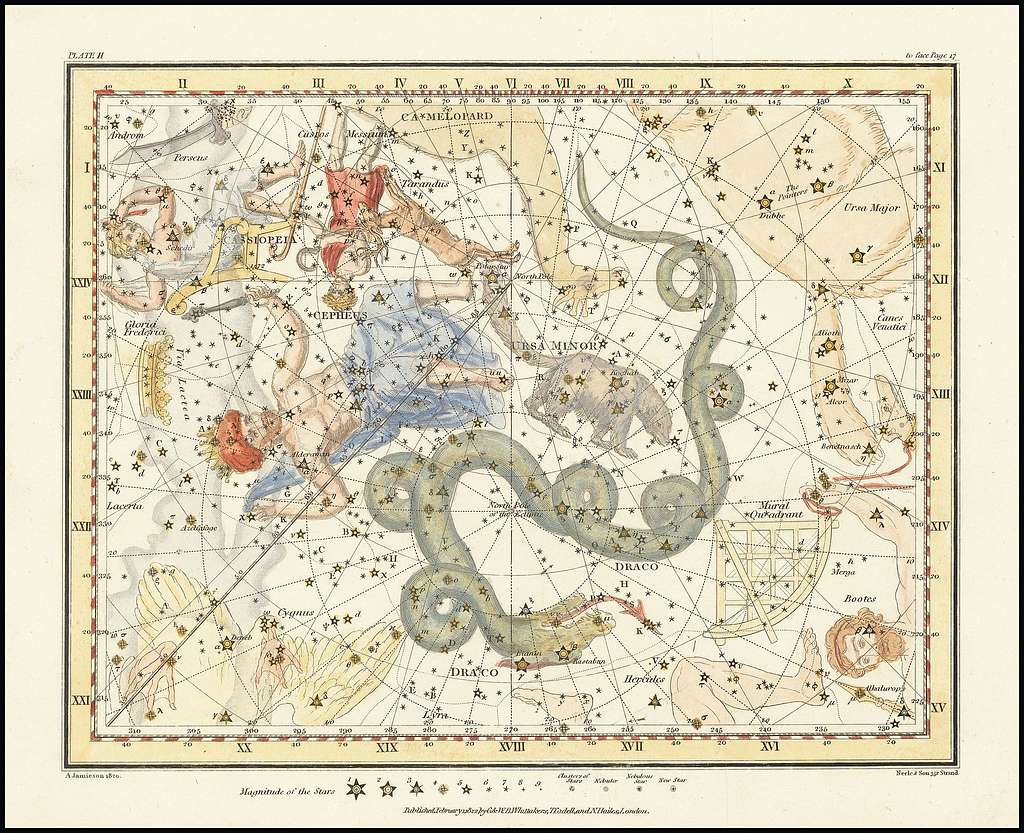 Ursa Minor with Draco, the snake, looping around it 