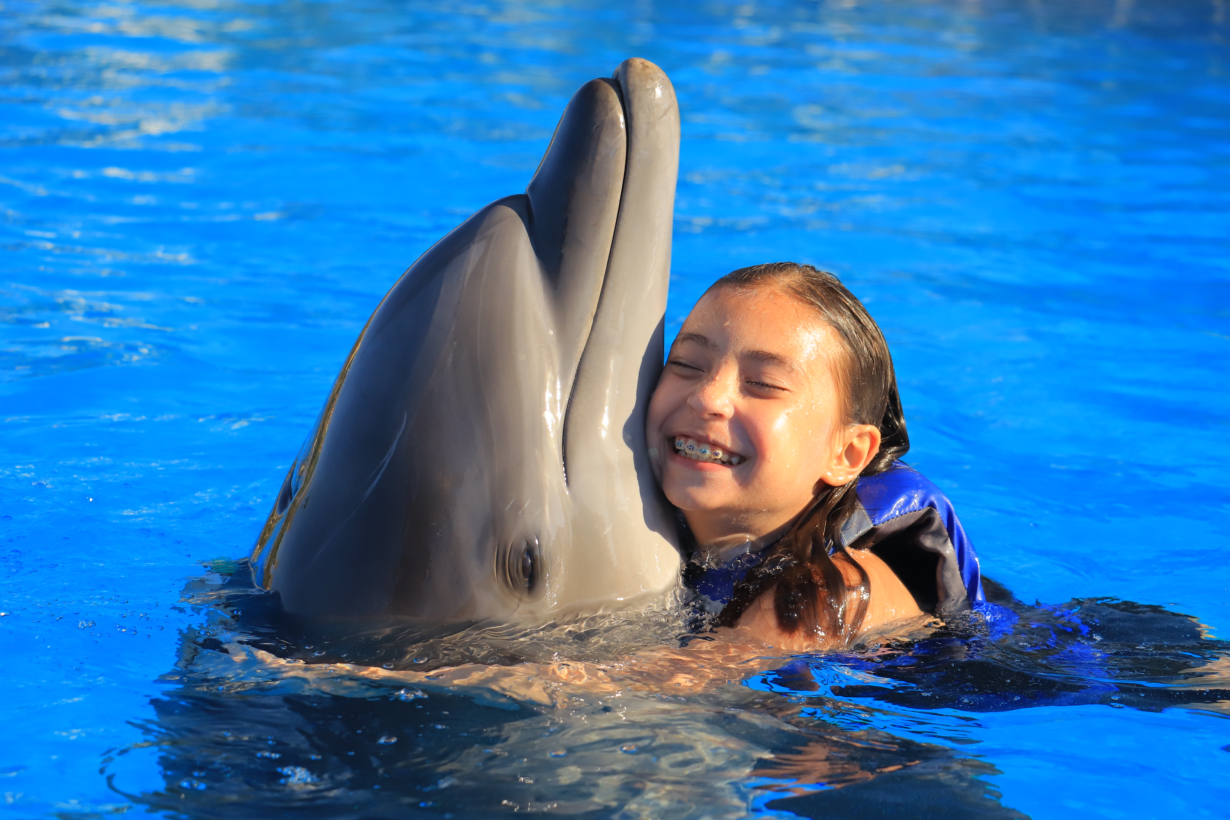 Dolphin Hug