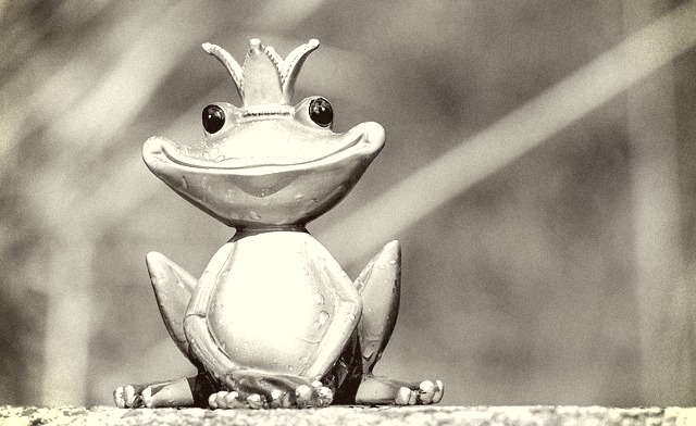 Frog/ Chad