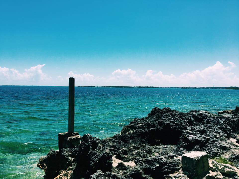 coral