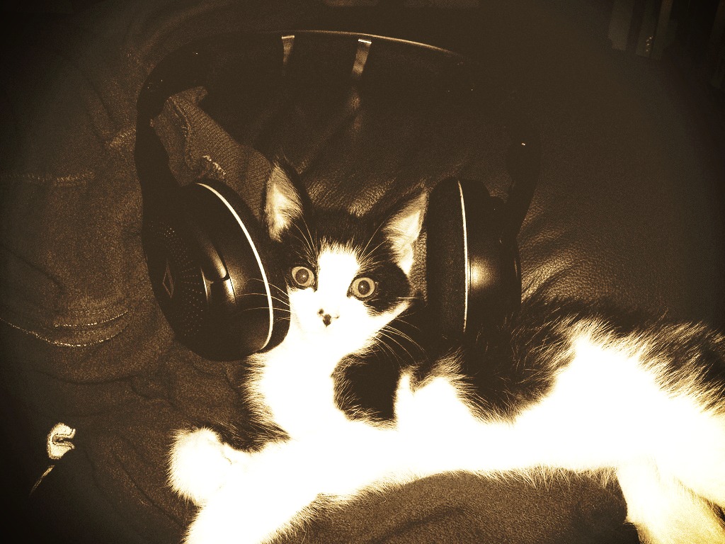 Headphone-Kitty