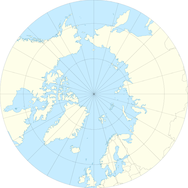 Artic O