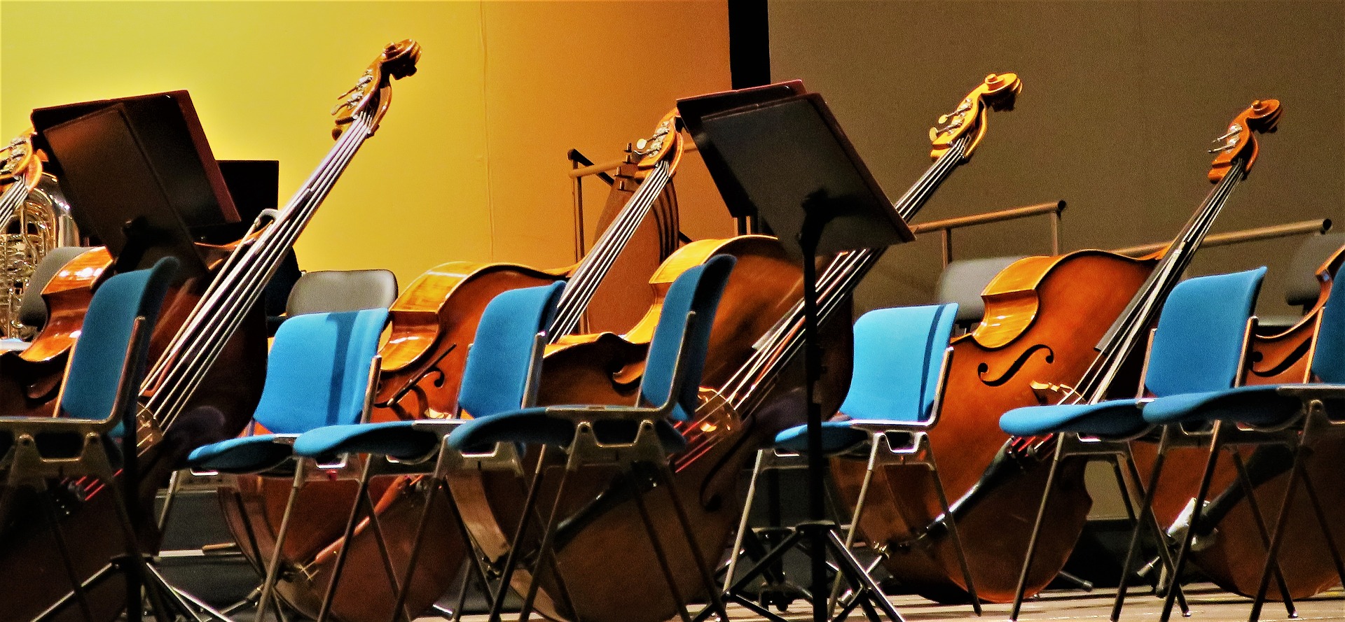 double basses