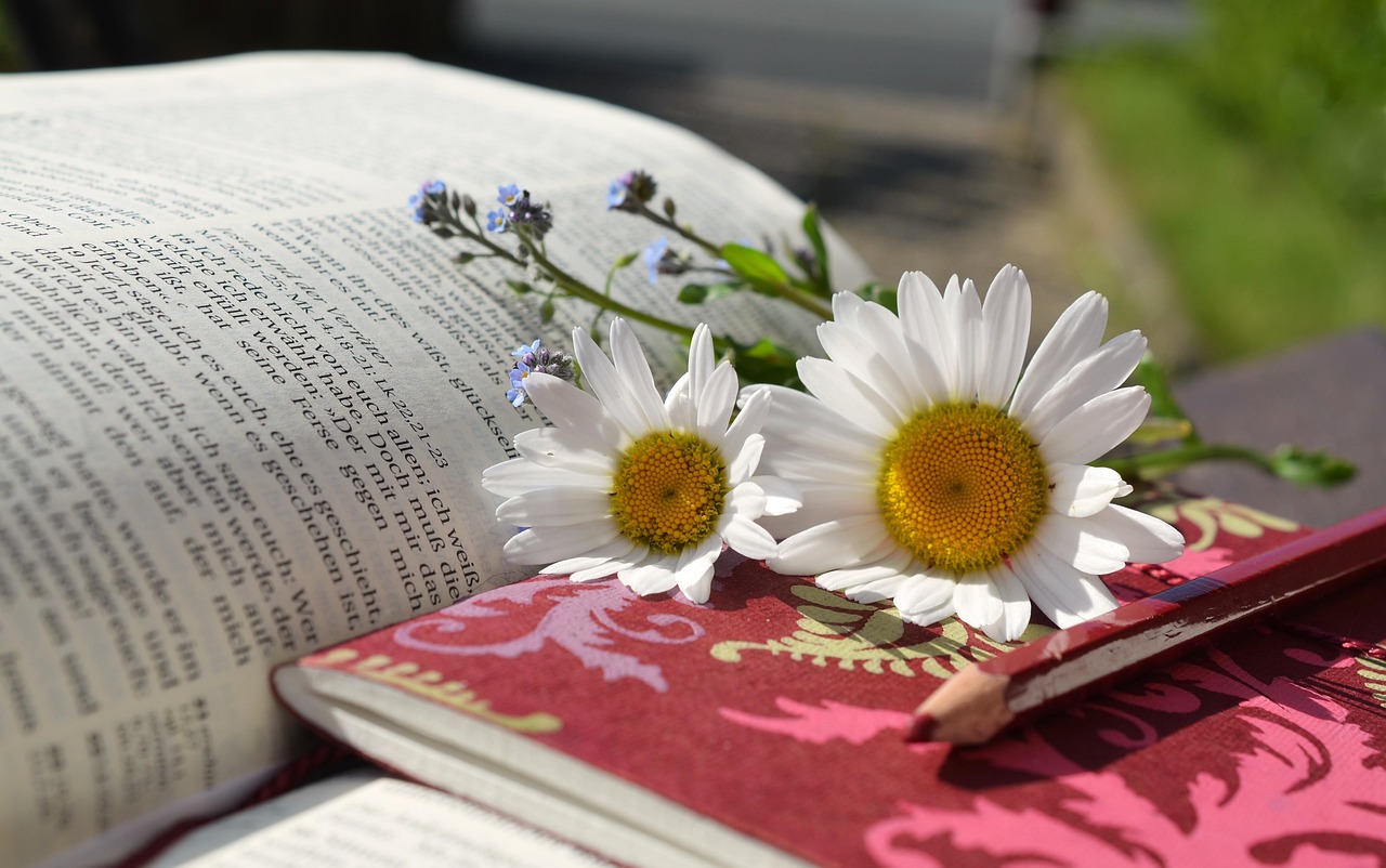 a picture of a bible