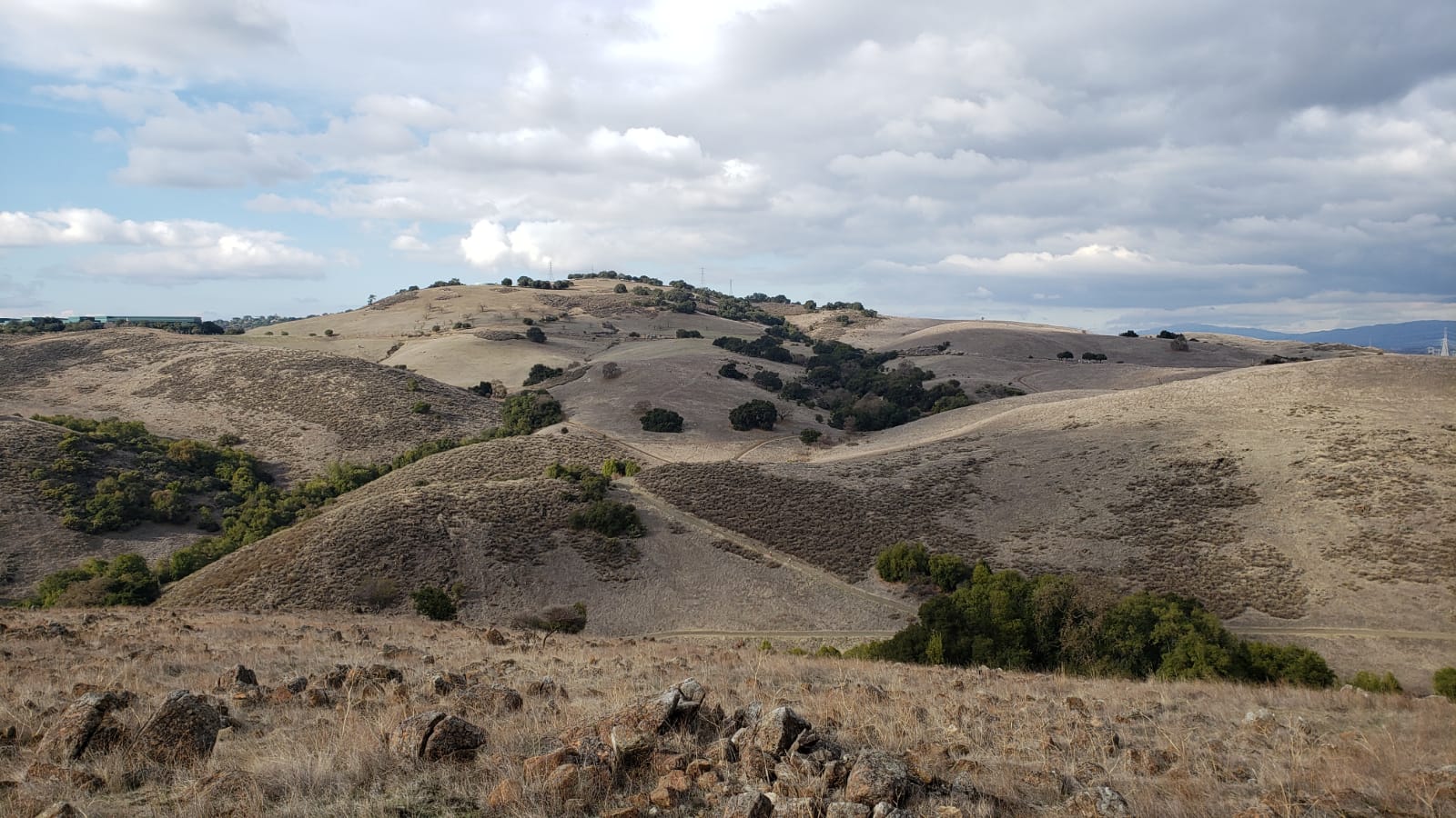 View of Silicon Valley from Coyote Peak hiking trail