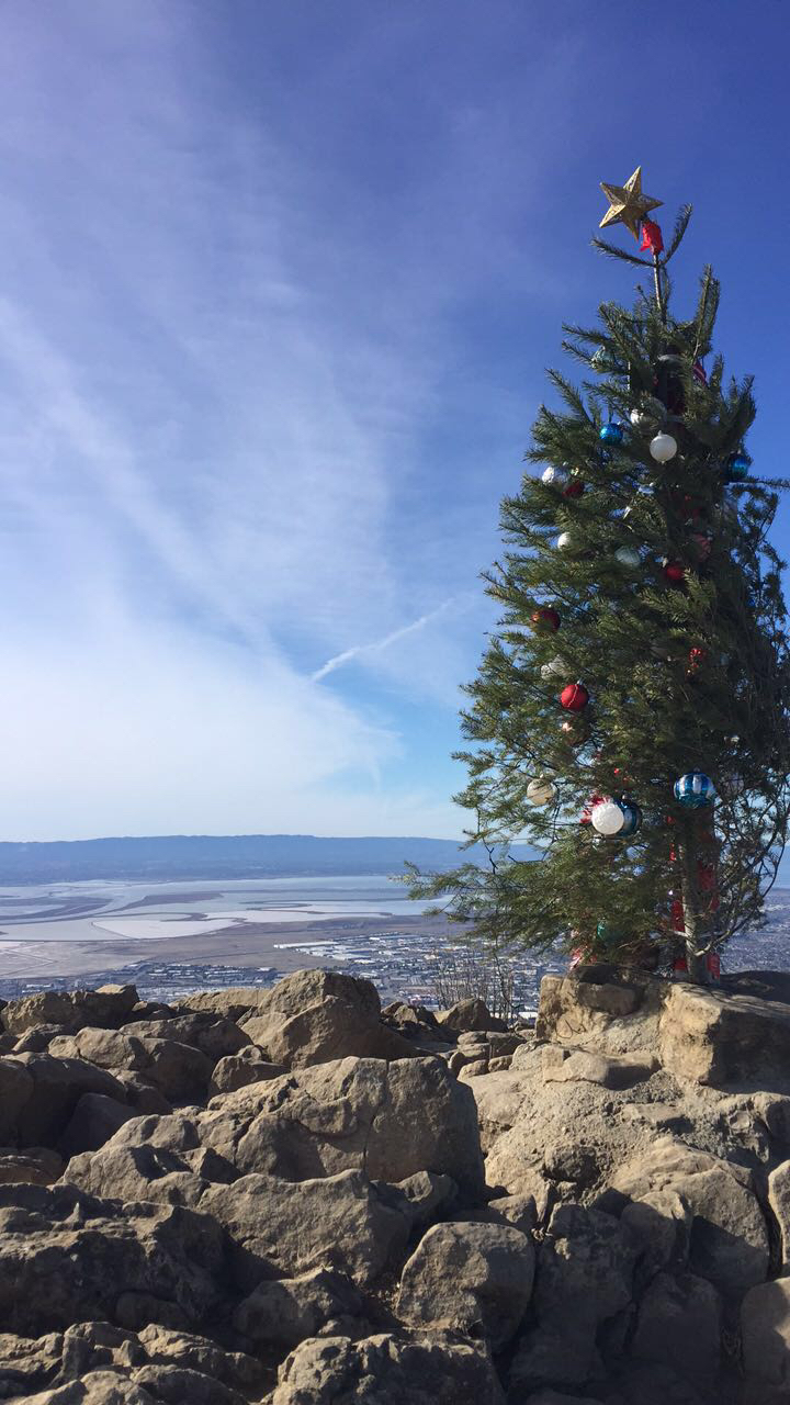 Christmas tree at the top of Mission Peak Hike overlooking Silicon Valley