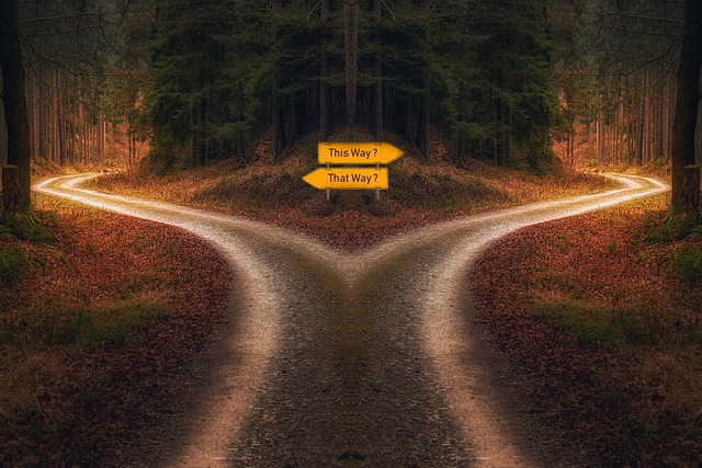 Two signs in a forest both pointing at different roads to chose what path you will take in the future