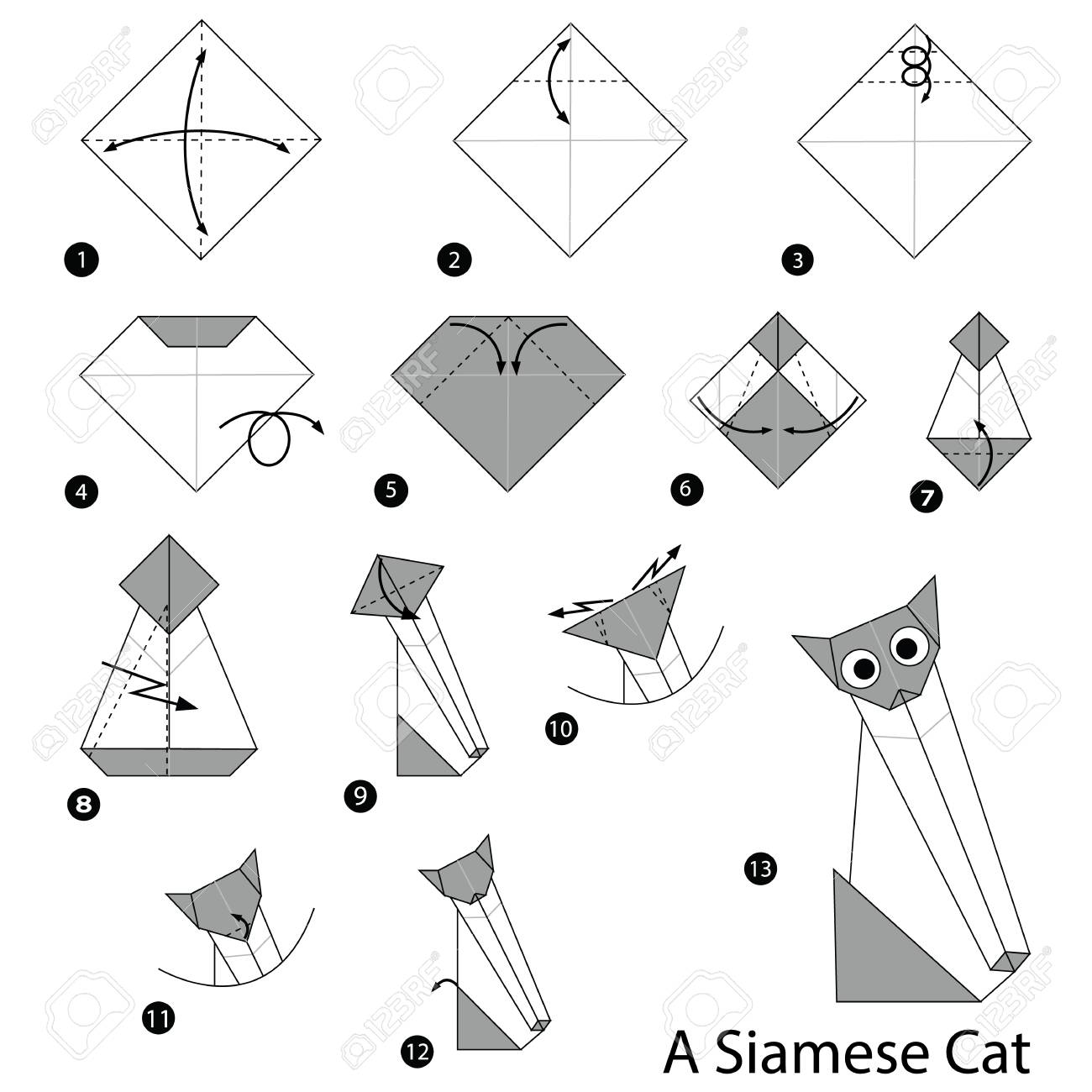 cat tutorial