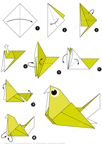 pigeon