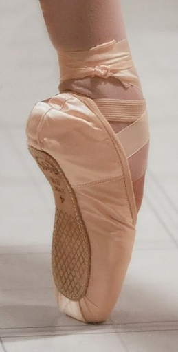  pointe shoe