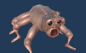 Animal