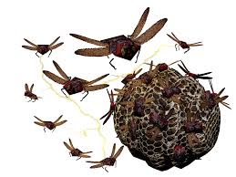 Bees