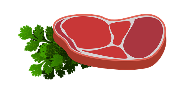 slab of meat with herbs on it