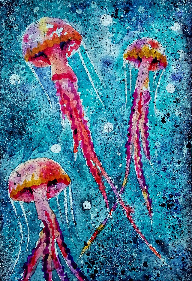 Jellyfish