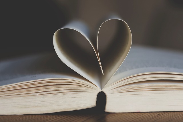 A open book with a fooled page shape as a heart