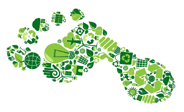 Green Carbon Footprint