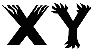 xy