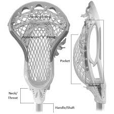 Head diagram