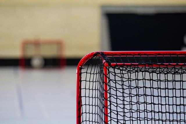 2 hockey nets