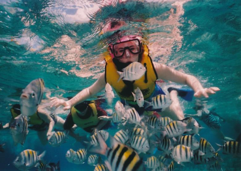 person snorkeling near lots of fish