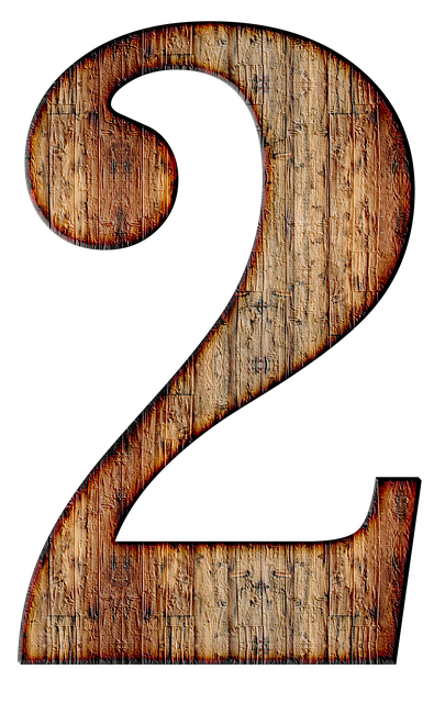 the number 2