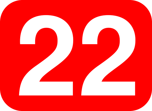 the number 22